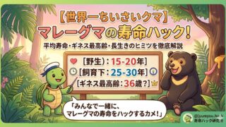 マレーグマの寿命は何年？平均寿命からギネス最高齢、長生きのヒミツまで徹底解説！