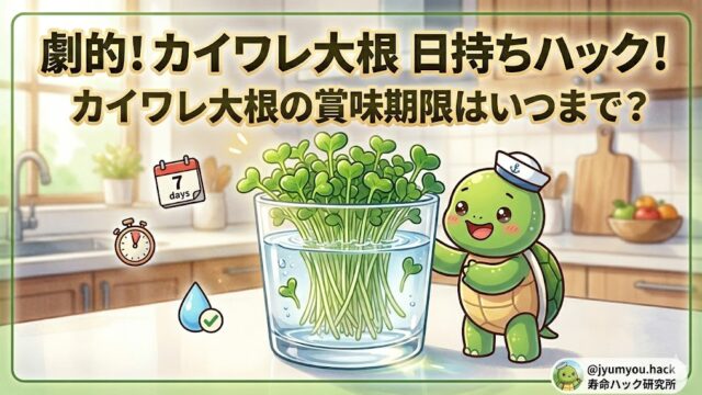 カイワレ大根の賞味期限はいつまで？腐るとどうなる？1週間以上長持ちさせる保存ハック