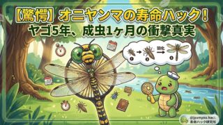 オニヤンマの寿命は実は5年!?成虫の期間は短い?子どもに教えたい最強トンボの秘密と自由研究のヒント
