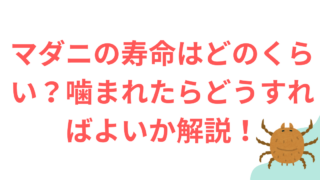 マダニ寿命　かまれ時